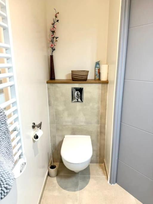 Belle Etoile Et Son Garage Prive Apartman Albertville Kültér fotó